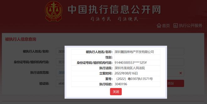 頤安集團旗下麓園地產被列為被執行人，執行標的304萬元，涉及投資興辦實業