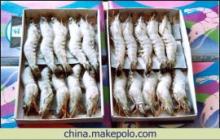 南美白對蝦 市場概況與優(yōu)質(zhì)供應(yīng)商推薦
