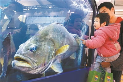 200余種水產(chǎn)品亮相中國水產(chǎn)種業(yè)博覽會，展現(xiàn)產(chǎn)業(yè)創(chuàng)新與可持續(xù)發(fā)展新圖景